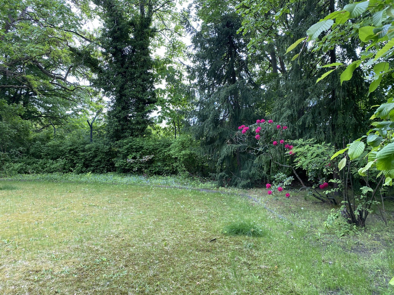 Garten Garten