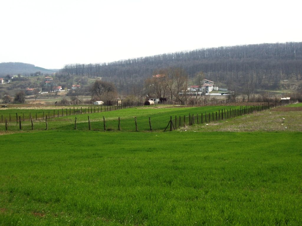 Baugrundstück 