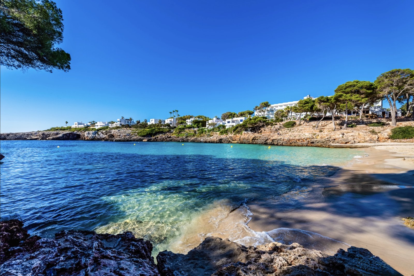 Bildschirmfoto 2026-01-20 um 13.12.56